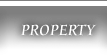 menu_property.png